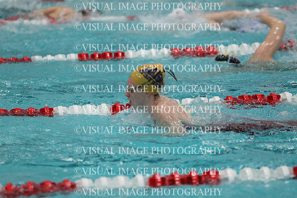 WISWG_18_S20008