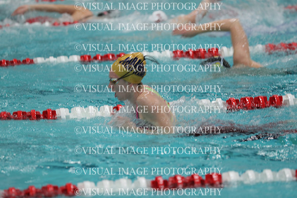 WISWG_18_S20009