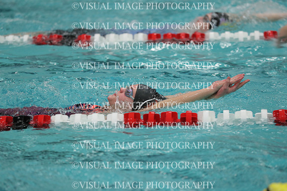 WISWG_18_S20014