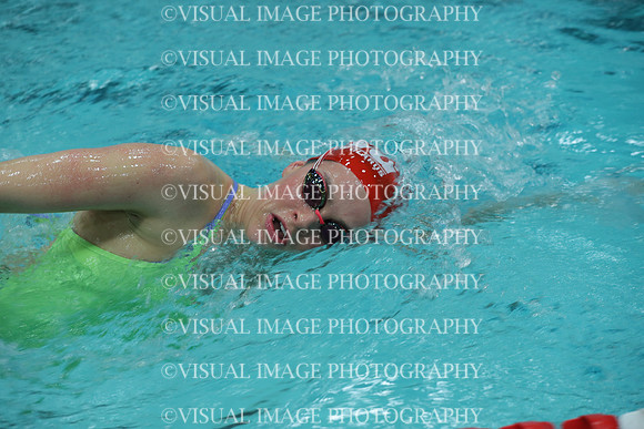 WISWG_18_S20016