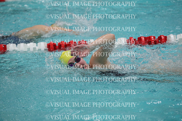 WISWG_18_S20017