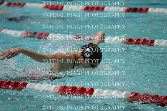 WISWG_18_S20021