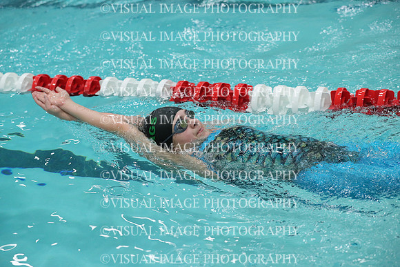 WISWG_18_S20022
