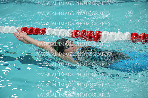 WISWG_18_S20023