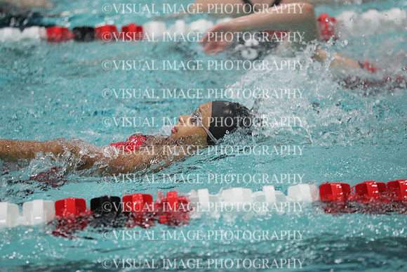 WISWG_18_S20028