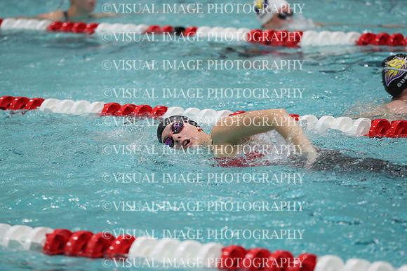 WISWG_18_S20030