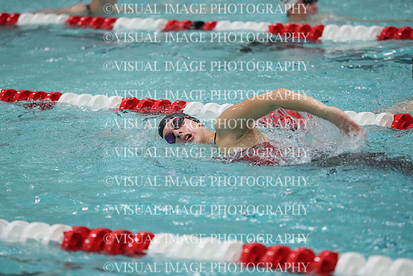 WISWG_18_S20031