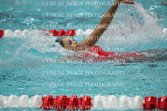 WISWG_18_S20034