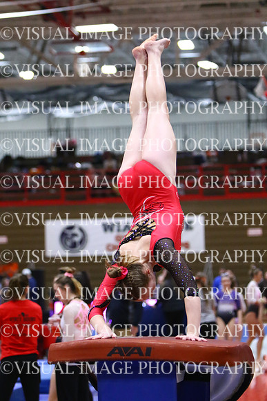 WIGYMG25_VAULT_I008