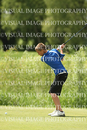 wigf_10_t105042