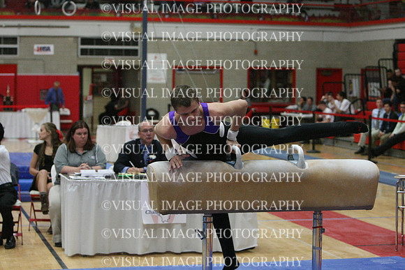 ILGYM14_PHORSE_I042