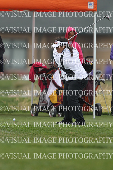 ILGFG_13_T110022