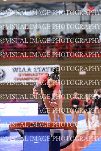 WIGYMG25_VAULT_T032