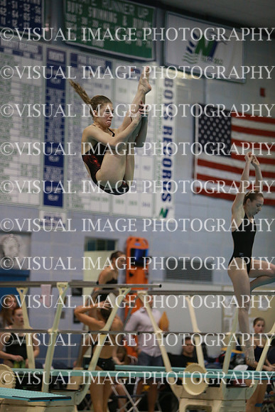 ILSWG13_DIVE_034