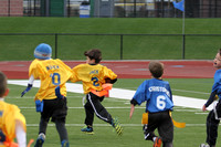 2nd3rd Flag Gold v Blue