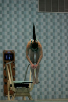 wiswg09_dive_2015