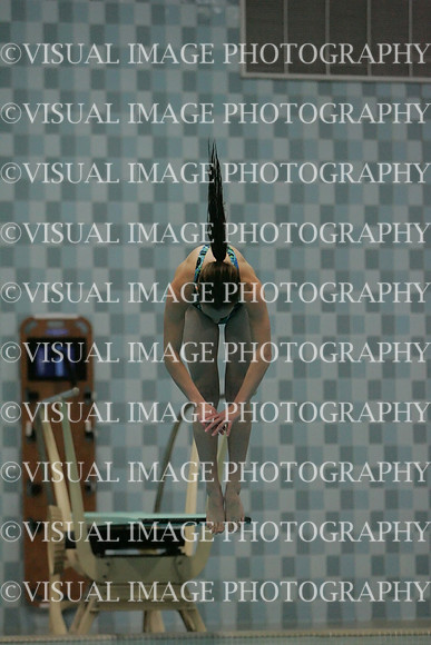 wiswg09_dive_2015