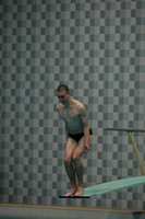 wisw10_dive_1014