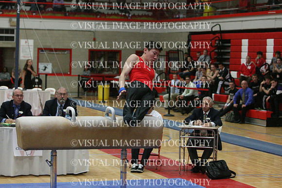 ILGYM14_PHORSE_I082