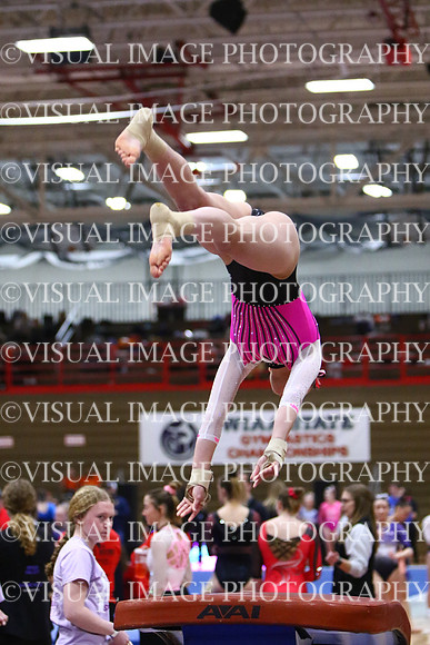 WIGYMG25_VAULT_I014