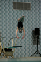 wiswg09_dive_2003