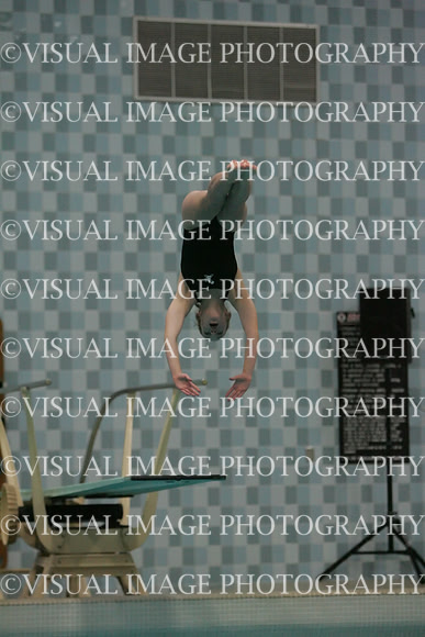 wiswg09_dive_2003