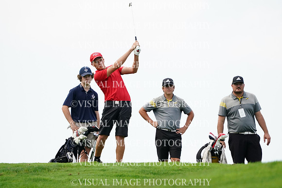 ILGF_21_T112013