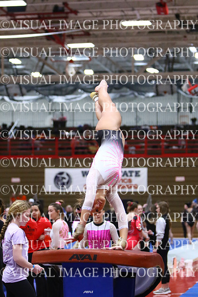 WIGYMG25_VAULT_I017