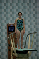 wiswg09_dive_2012