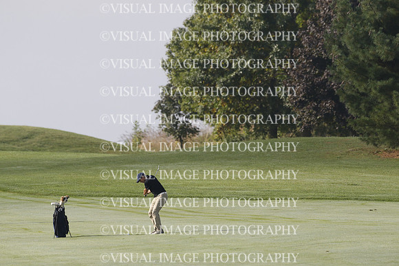 ILGF_21_T312003