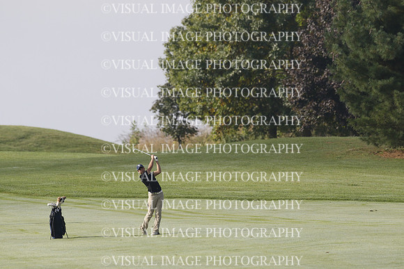ILGF_21_T312008