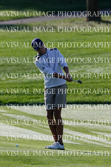 ILGF_21_T312036
