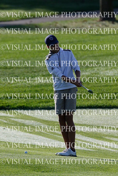 ILGF_21_T312038