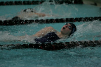 wiswg09_2med_2010