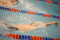 ILSW12_100BACK_F015