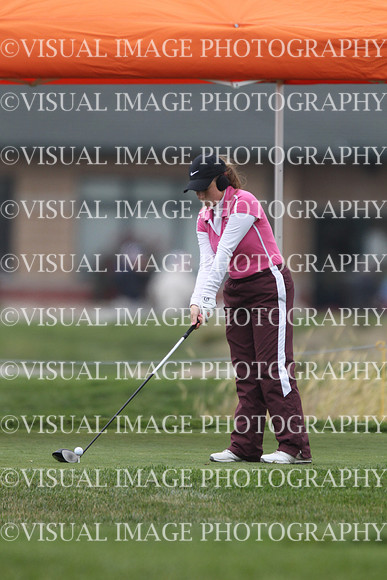 ILGFG_13_T110050