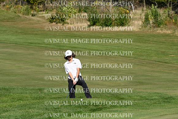 ILGF_24_T101041