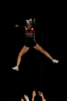 ILCHEER_11_C15016