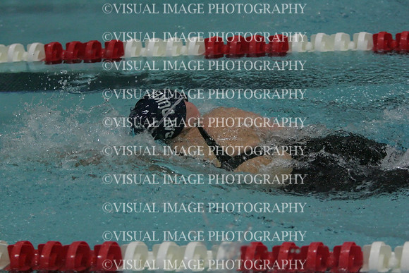 wiswg09_2free_2009