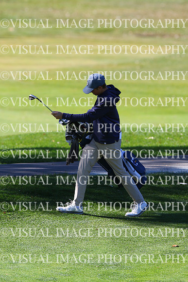 ILGF_24_T210031