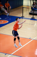 ILVB_19_S2008