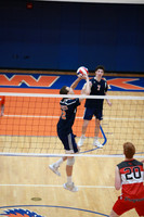 ILVB_19_S2011