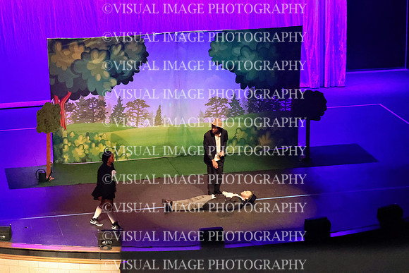 ILDRAMA_25_D090014