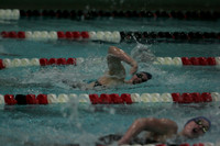 wiswg09_1free_2008