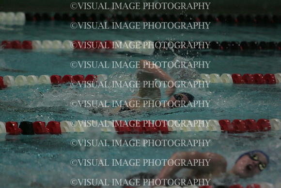 wiswg09_1free_2008
