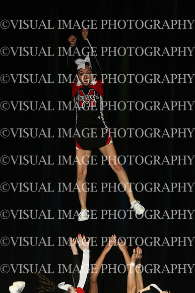 ILCHEER_11_C15015