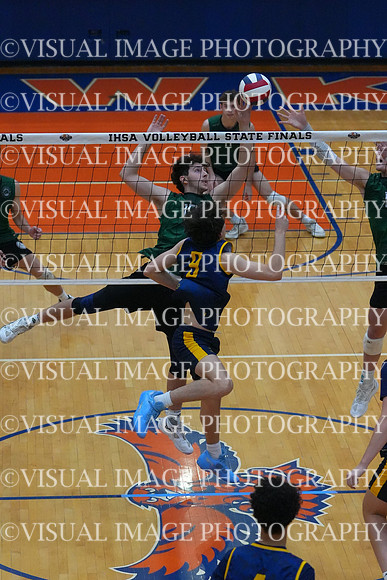 ILVB_25_S10027