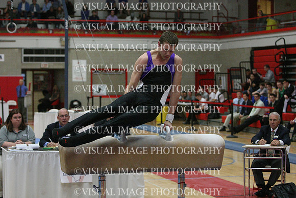 ILGYM14_PHORSE_I055
