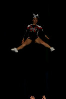 ILCHEER_11_C15020