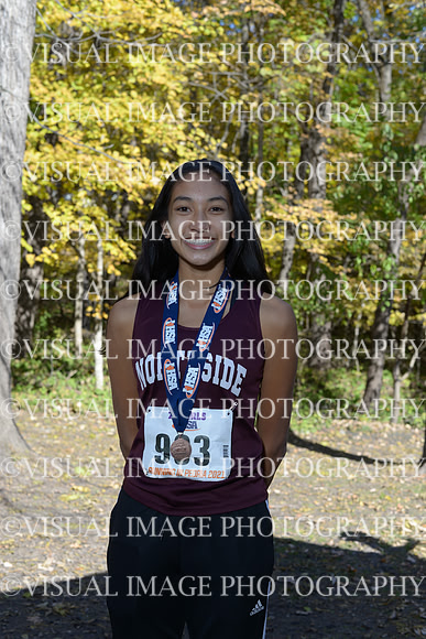 ILXCG_21_A2013